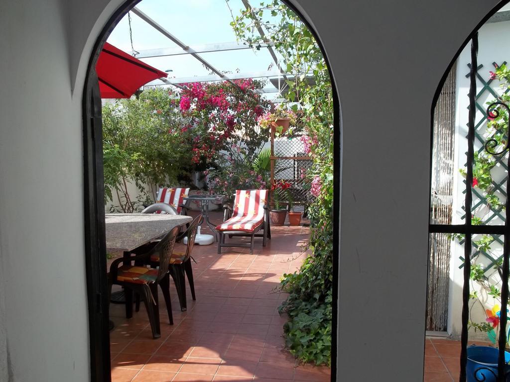 Madamme Curie Apartment Torrevieja Exterior photo
