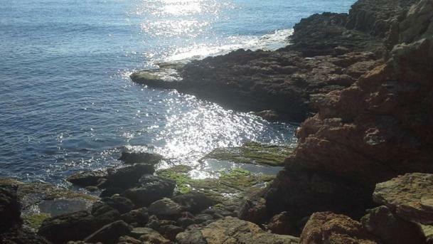 Madamme Curie Apartment Torrevieja Exterior photo